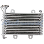 Radiator for 200cc Water Cool Dirt Bikes, Go Karts and ATVs
