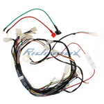 Main Wire Harness for 110cc ATVs